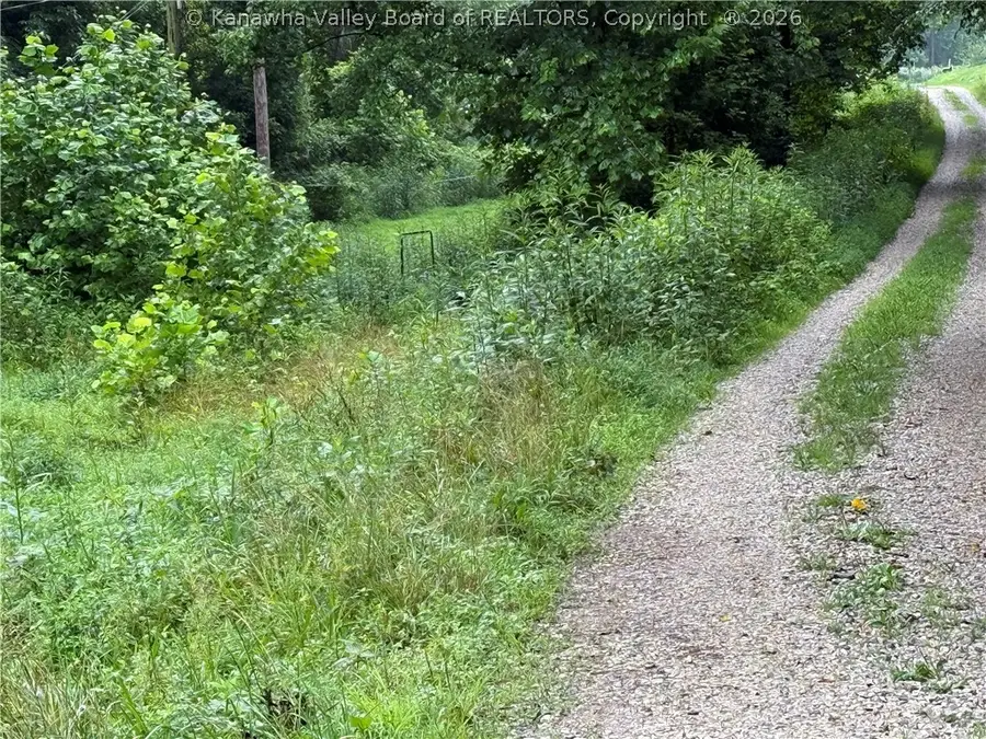 TBD Upper Mud River Road, Branchland, WV 25506 - #3