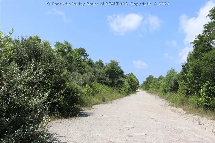 0 Four Mile Hollow Road, Hernshaw, WV 25107 - #2