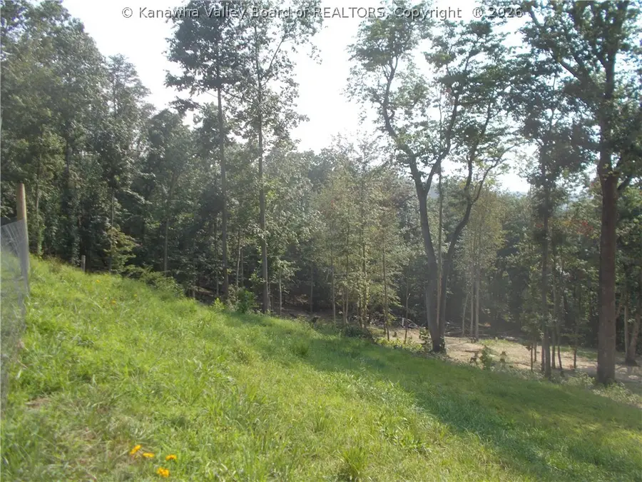 115 Home Again Road, Buffalo, WV 25033 - #3