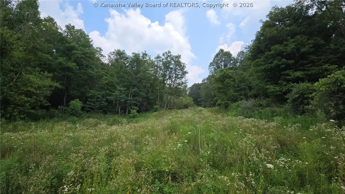 679 Burnems Run Road, Sandyville, WV 25275 - #1