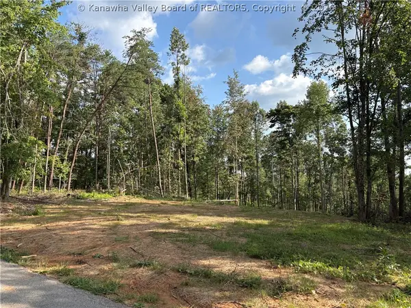 0 Stone Lick Road, Kenna, WV 25248
