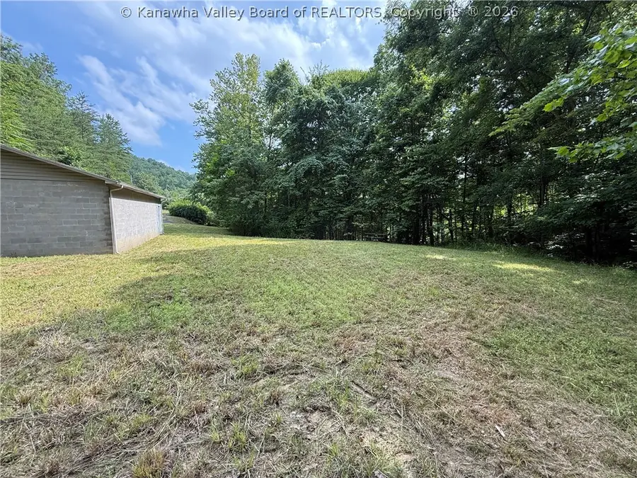 655 Drift Creek Road Road, Genoa, WV 25517 - #3
