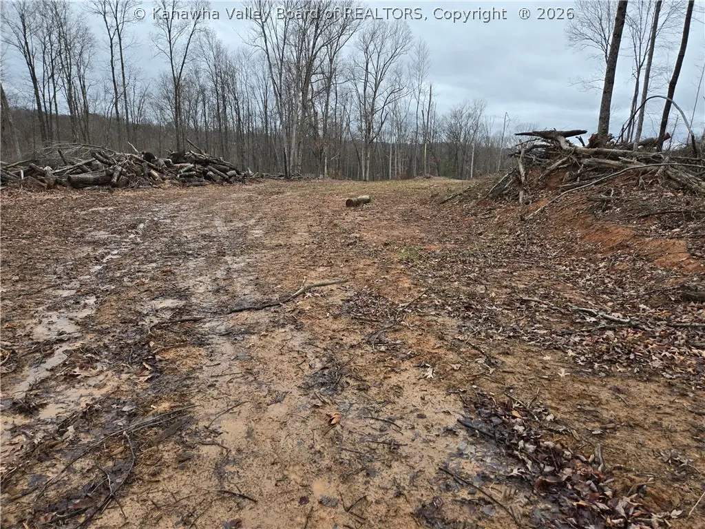 0 Beechy Road, Bickmore, WV 25125 - #1