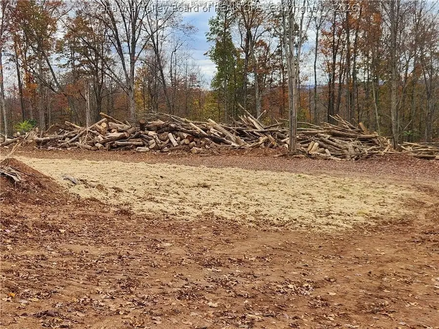 0 Beechy Road, Bickmore, WV 25125 - #3