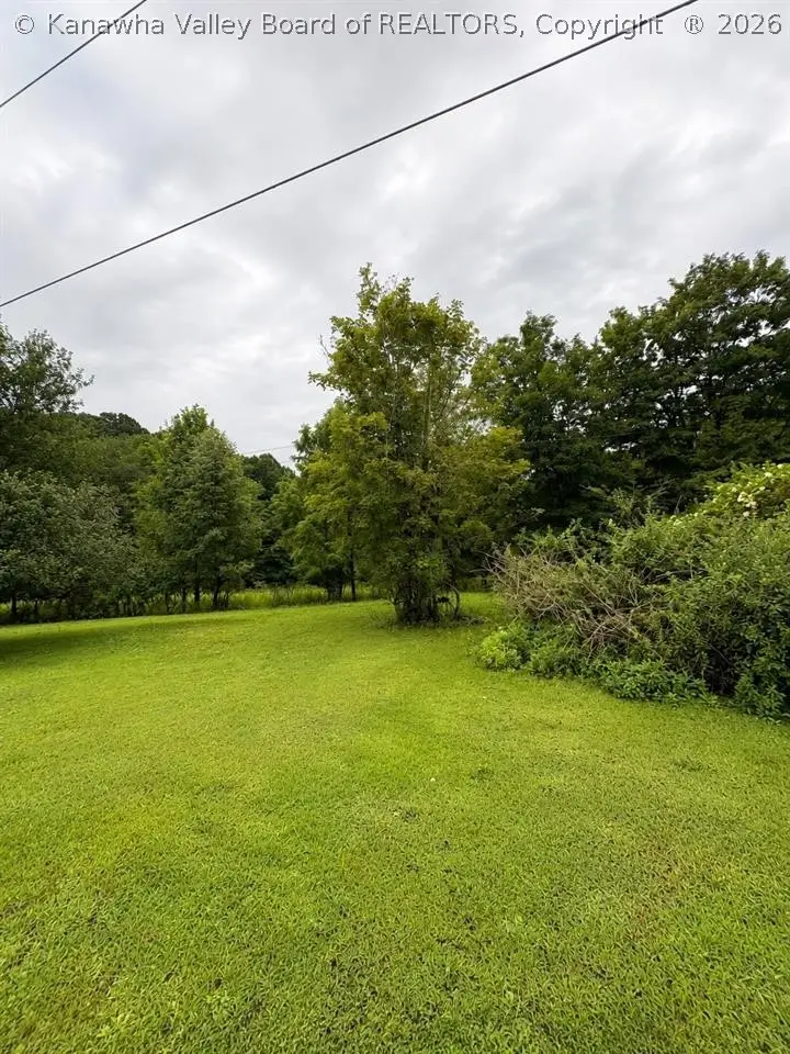 1320 Nile Road, Summersville, WV 26651 - #1
