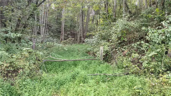 0 Rd 29 Big Sandy Road, Left Hand, WV 25251
