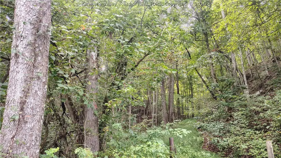 0 Rd 29 Big Sandy Road, Left Hand, WV 25251 - #3