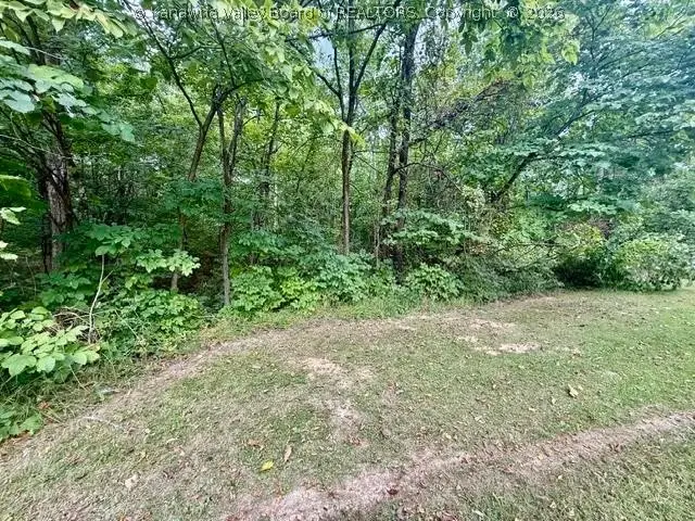 0 Gill Ridge Road, Letart, WV 25253 - #3