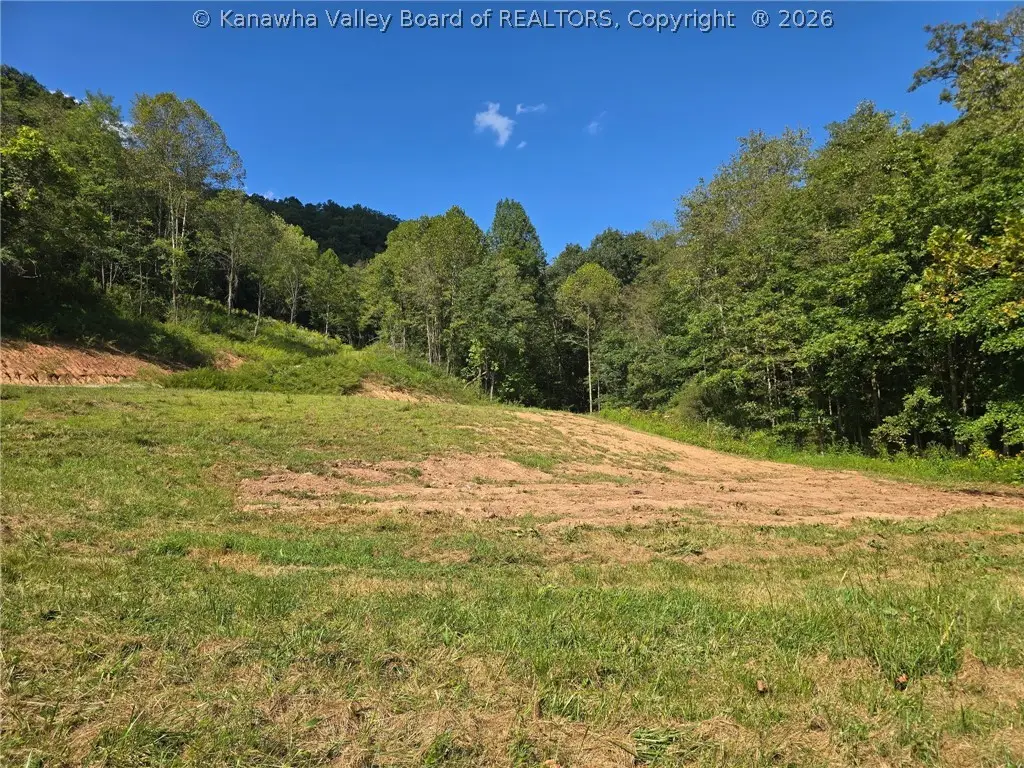 4694 Parkersburg Road, Reedy, WV 25270 - #1
