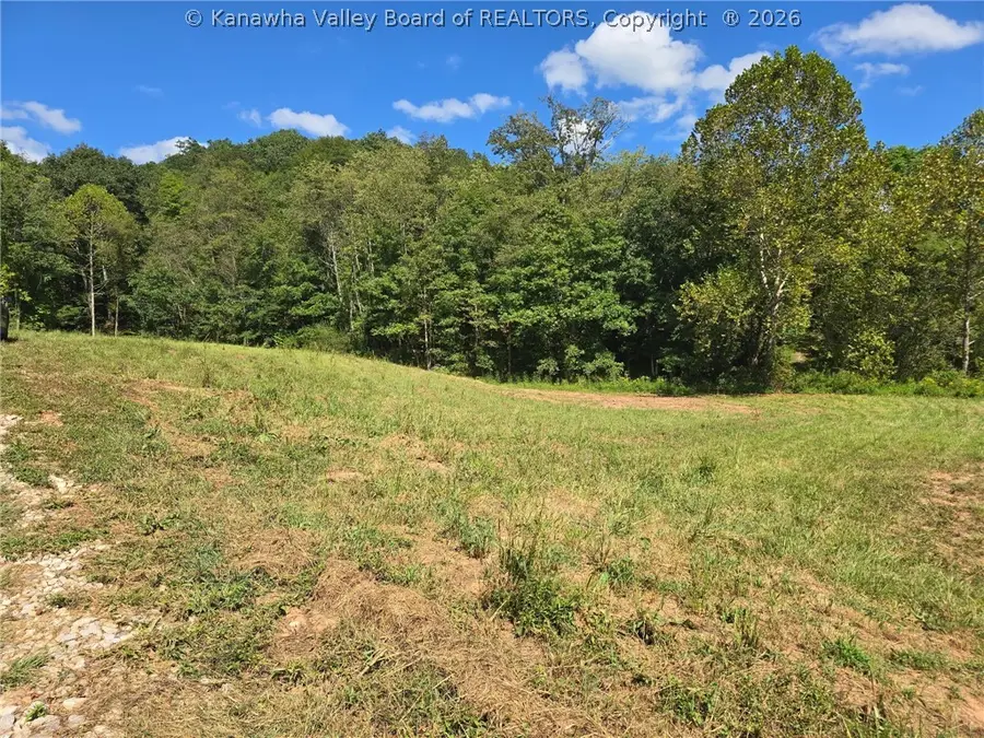 4694 Parkersburg Road, Reedy, WV 25270 - #2