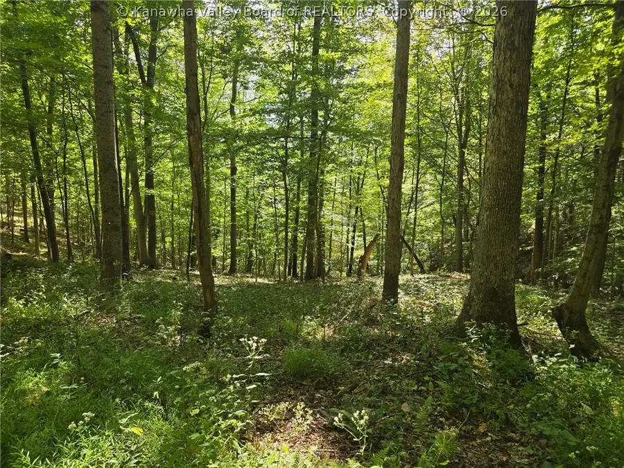 4694 Parkersburg Road, Reedy, WV 25270 - #3