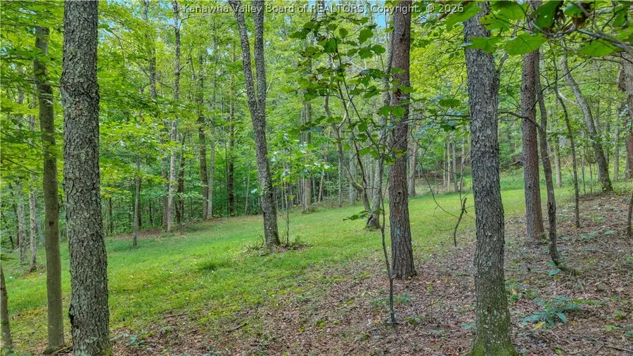 1942 Gooseneck Run Road, Walker, WV 26180 - #2