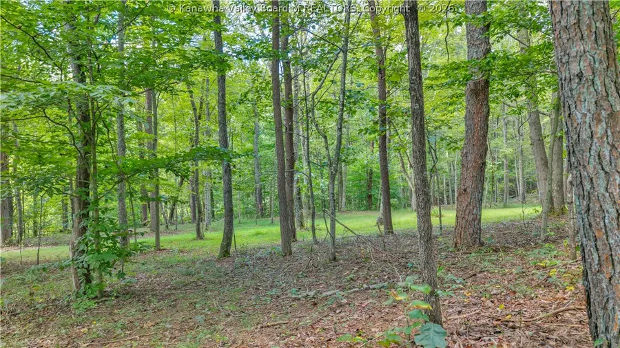 1942 Gooseneck Run Road, Walker, WV 26180 - #3