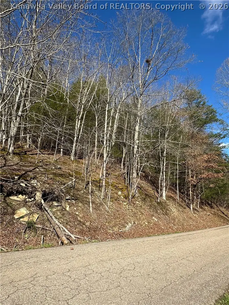 1038 Sycamore Road, Griffithsville, WV 25521 - #3