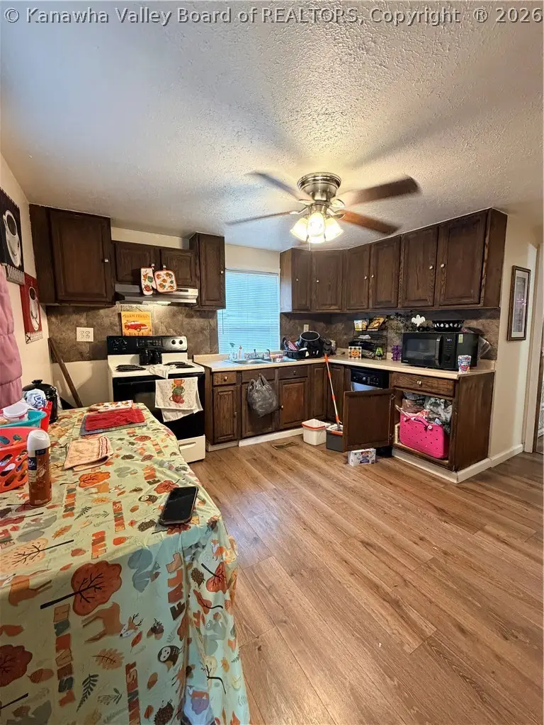 19 George Fleming Lane, Switzer, WV 25647 - #2