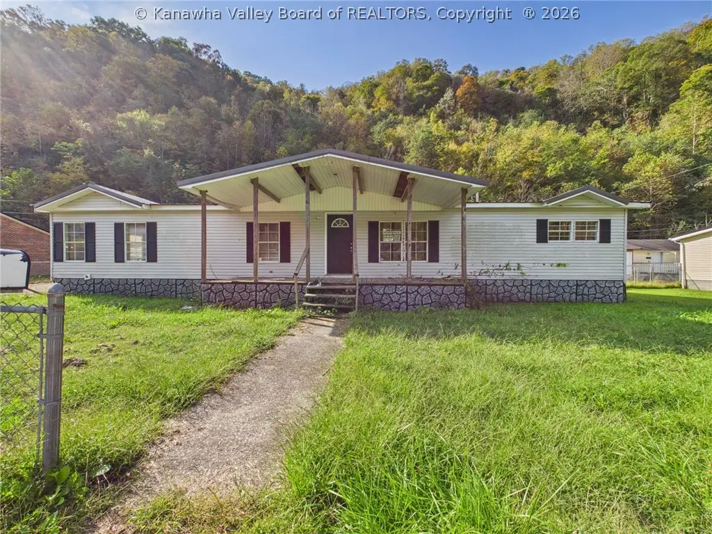 127 Harvey Drive, Delbarton, WV 25670 - #1