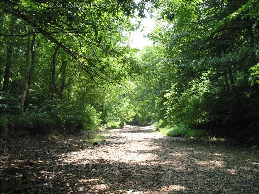 00 River Road, Walton, WV 25286 - #3