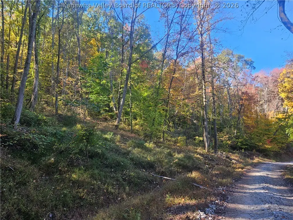 Lot #3 Timbers Edge, South Charleston, WV 25309 - #1