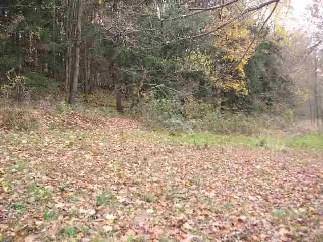 #3