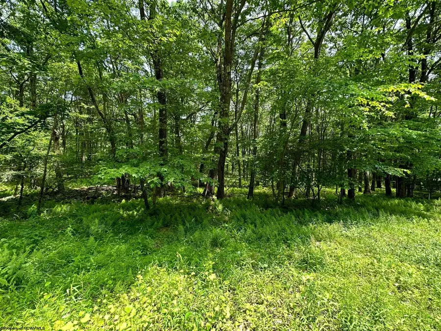 Lot 94 East Alpine Drive, Terra Alta, WV 26764 - #2