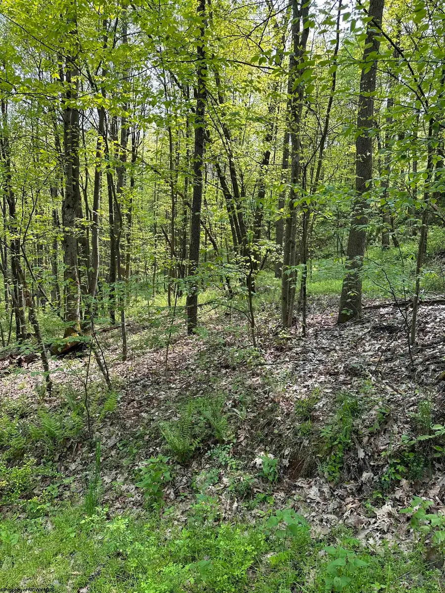 #2