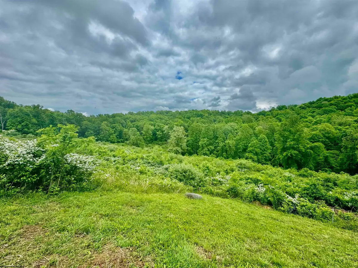TBD Hopewell Road, Fairmont, WV 26554 - Image #1