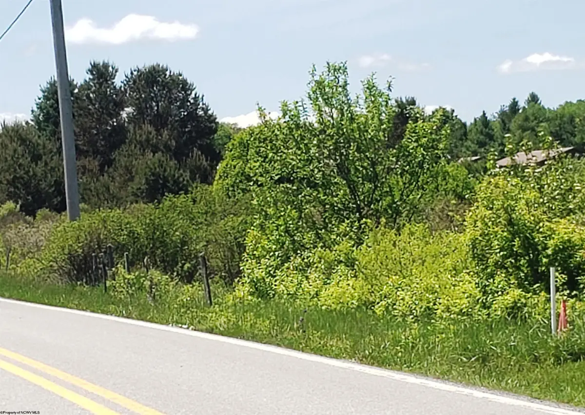 215 Courtland Road, Davis, WV 26260 - #1