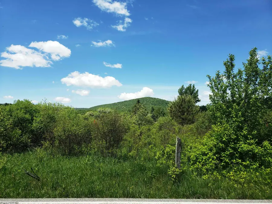 215 Courtland Road, Davis, WV 26260 - #2