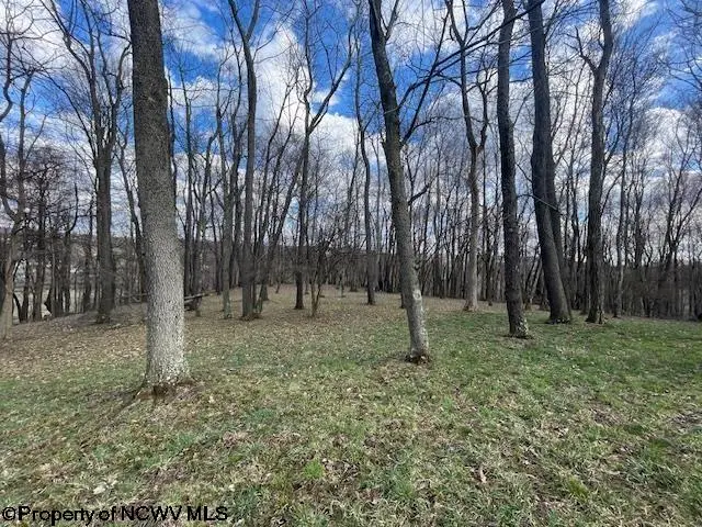 #3