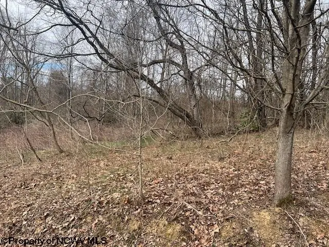 #3
