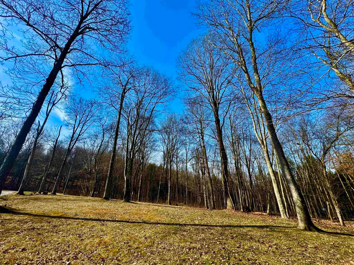 Lot 30 Wild Flower Way, Albright, WV 26519 - Image #1