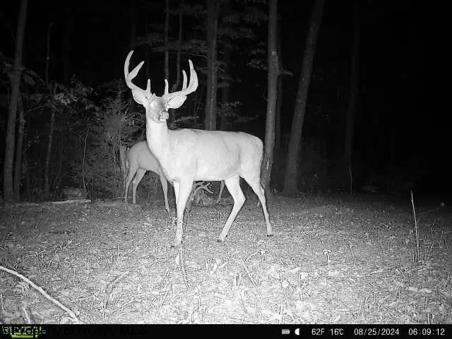 Lot 30 Wild Flower Way, Albright, WV 26519 - Image #3