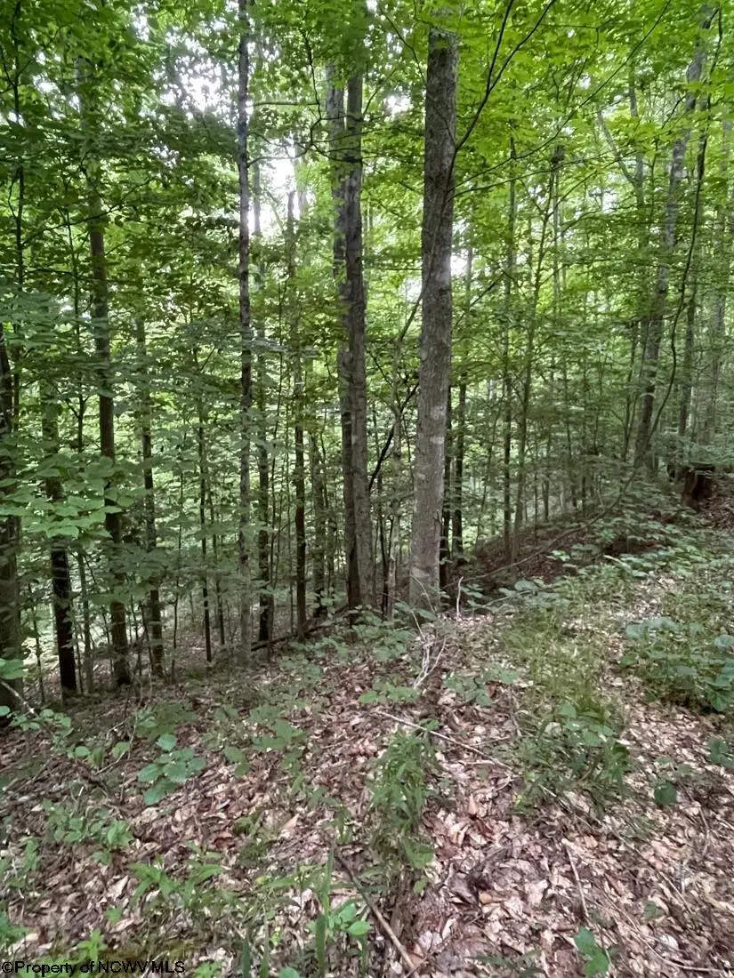 #2