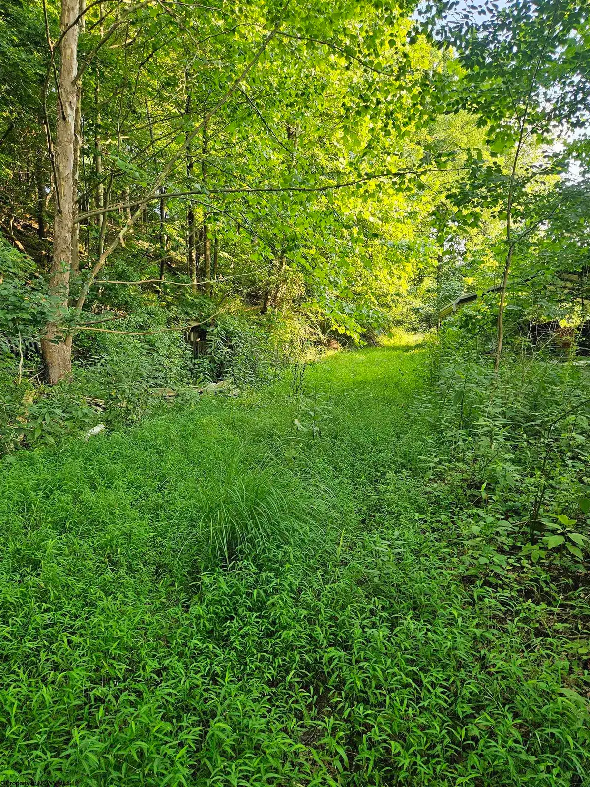 0 Cooper Street, Morgantown, WV 26505 - Image #1