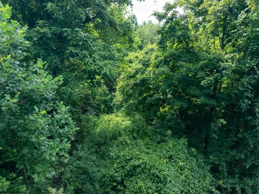 0 Cooper Street, Morgantown, WV 26505 - Image #3