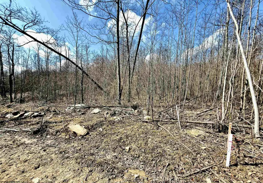 Lot 3 Brooklyn Way, Moatsville, WV 26405 - #3