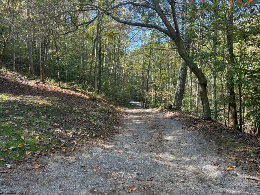 872 Cove Lick Road, Weston, WV 26452 - Image #3