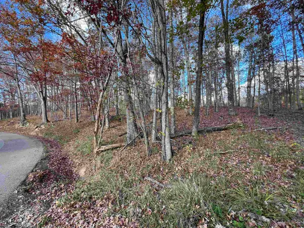 TBD Dodson Run Road, Beverly, WV 26253