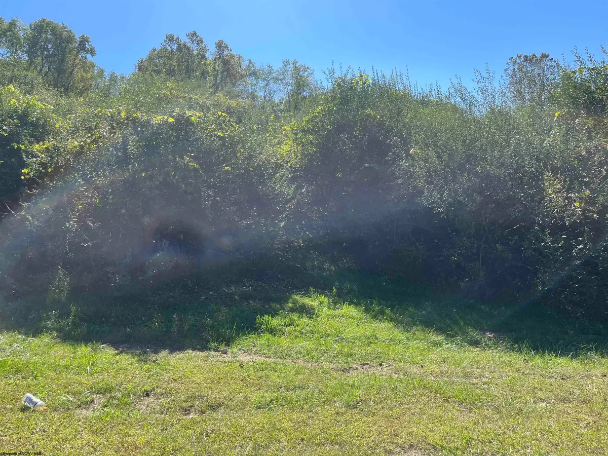 TBA Maple Street, Jane Lew, WV 26378 - Image #1