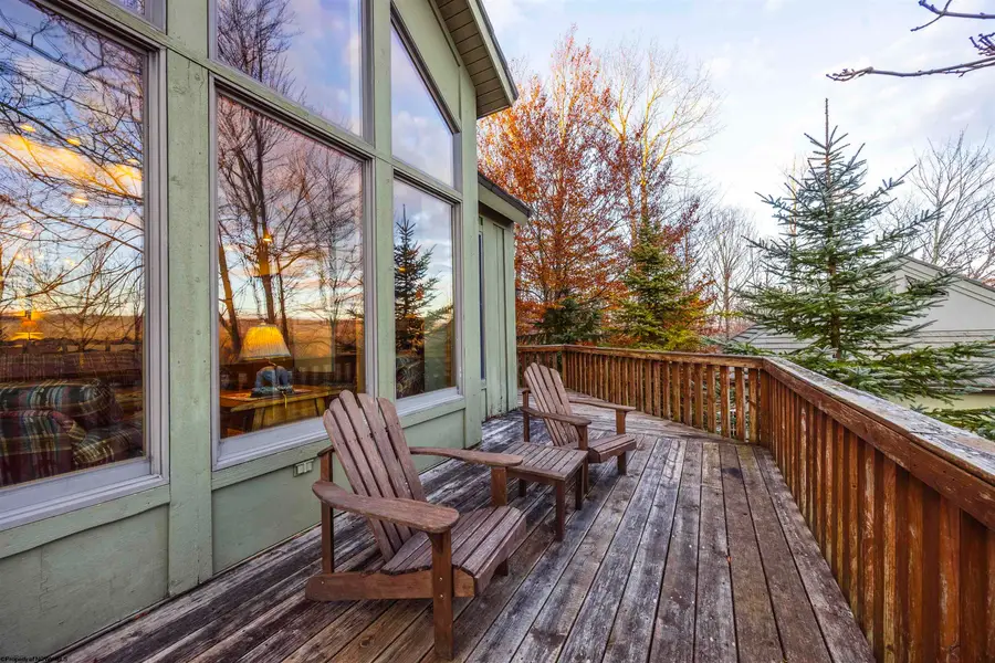 101 Treetop Lane, Davis, WV 26260 - Image #3