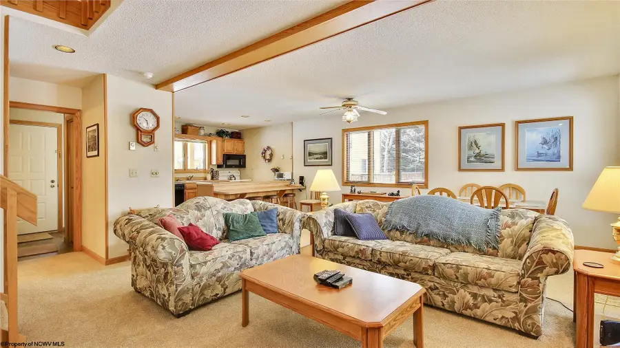 45 Deerfield Circle, Davis, WV 26260 - Image #2