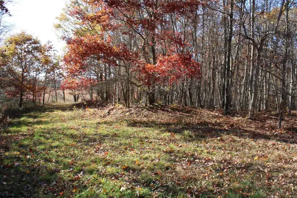 Lot 12 Sand Bank Heights Road, Masontown, WV 26542
