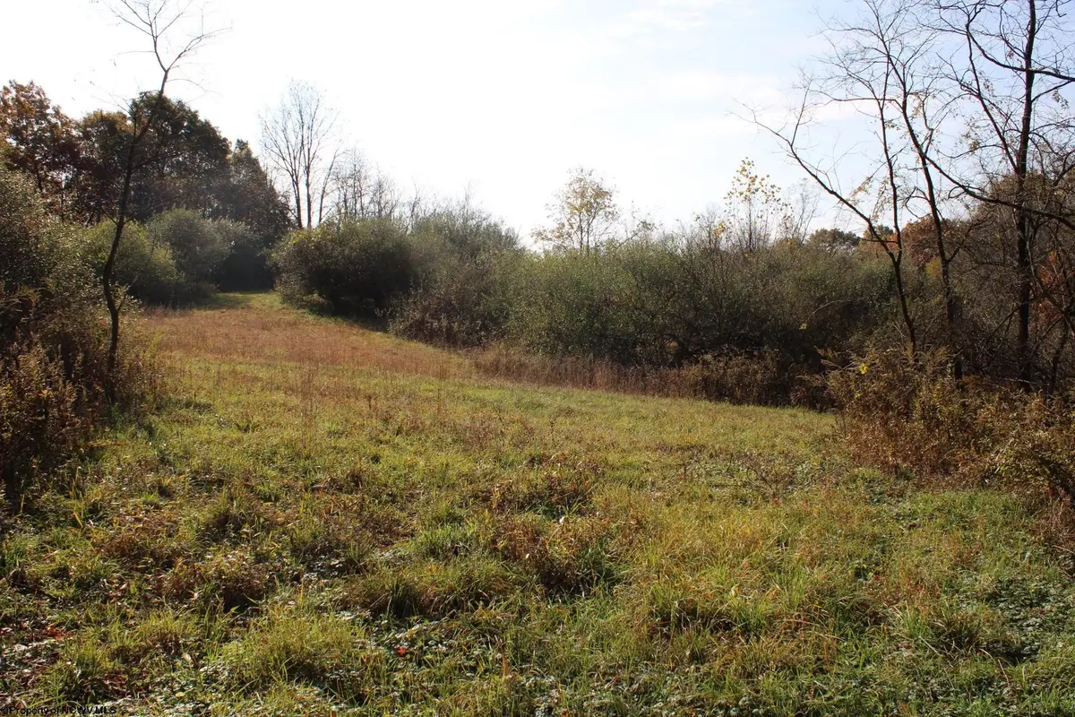 Lot 14 Sand Bank Heights Road, Masontown, WV 26542 - Image #1
