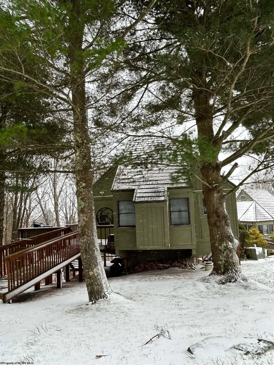 123 Wildflower Way, Davis, WV 26260 - Image #2