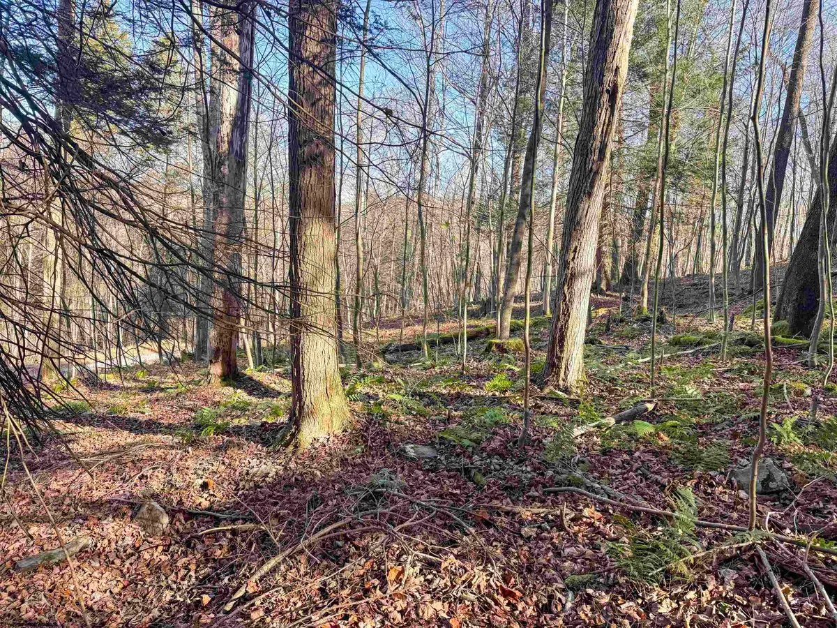 Lot 12 Whitewater Parkway, Bruceton Mills, WV 26525 - Image #1