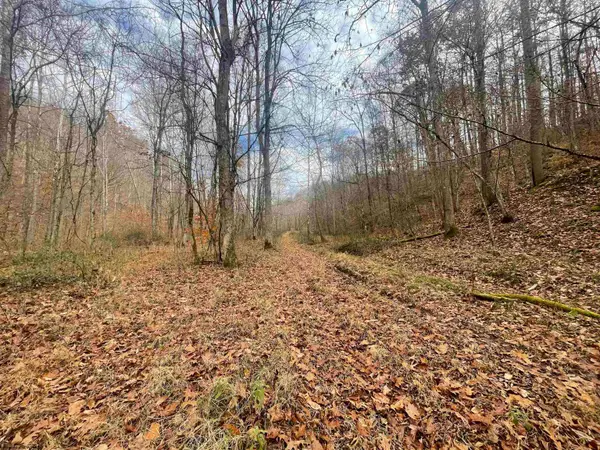 TBD Sand Fork Road, Walkersville, WV 26447