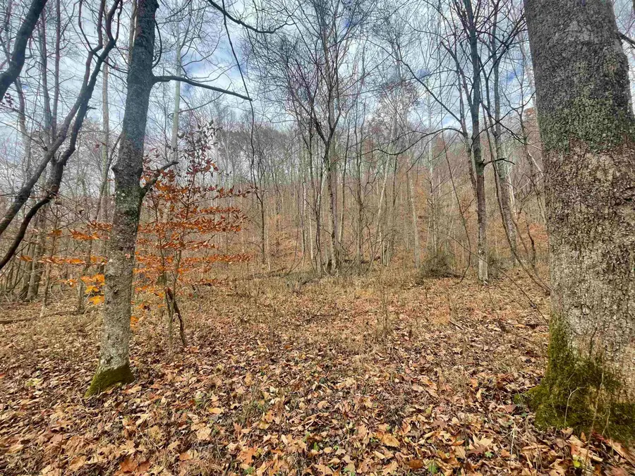 TBD Sand Fork Road, Walkersville, WV 26447 - Image #2