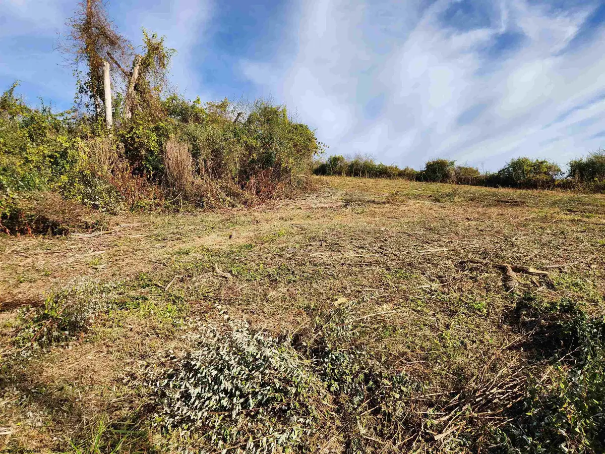 TBD Hidden Valley Road, Lost Creek, WV 26385 - Image #1