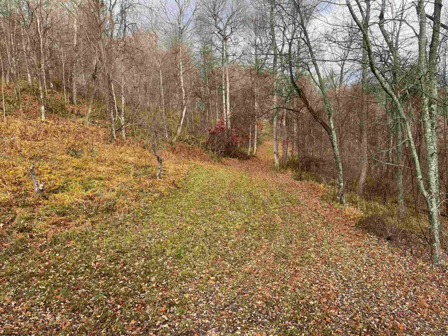 000 Crawford Road, Crawford, WV 26343 - Image #3