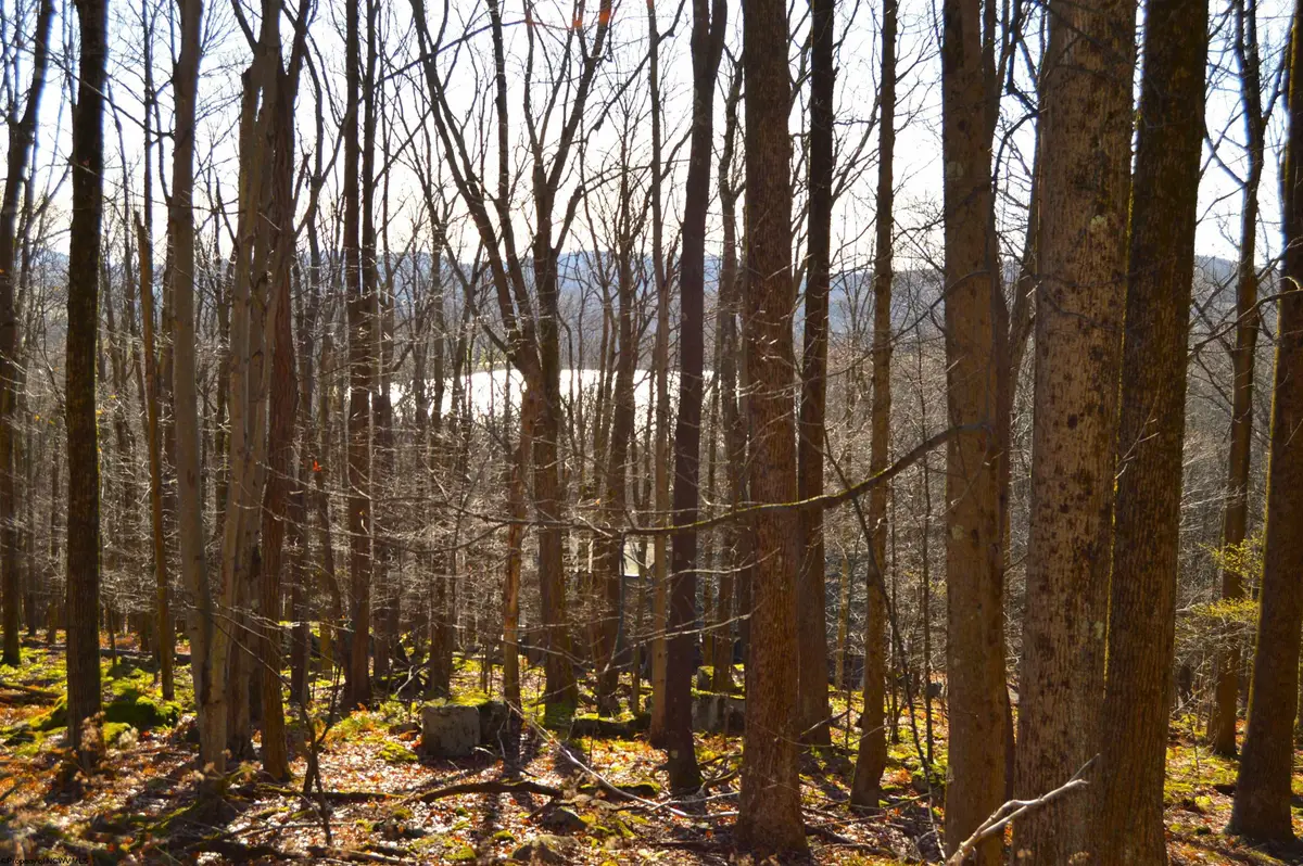 Lot 154 Daisy Drive, Terra Alta, WV 26764 - #1